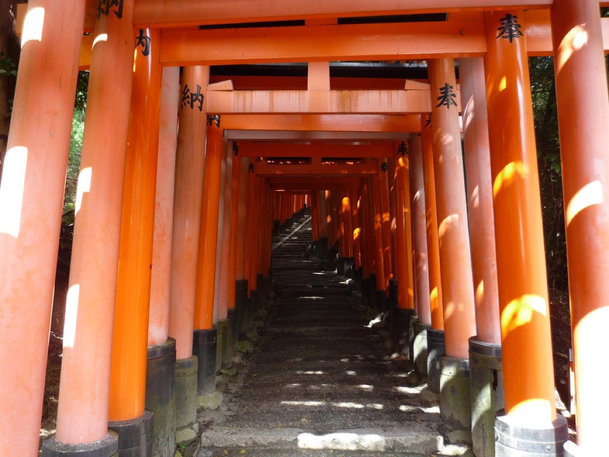 Red torii gates at Fushimi Inari, Kyoto